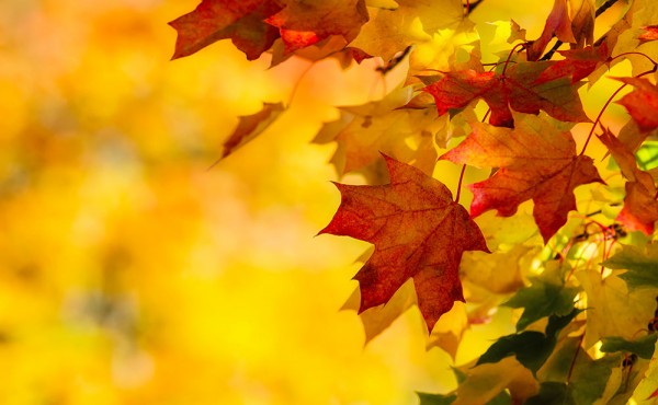 AUTUNNO A BOLZANO