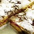 Fotogalerie Patisserie