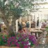 Fotogalerie Terrasse