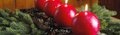 Speciale Natale Speciale Natale